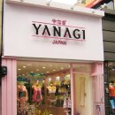 야나기 이미지