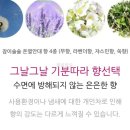 잠이솔솔 이미지