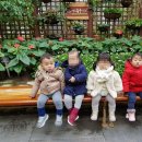 이솔어린이집 이미지