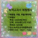 정주권로 이미지