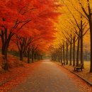 국화호수 | 🍁 청남대 가을축제 2025— 단풍과 국화, 호수를 따라 걷는 가을 —