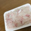 시락 해안가 | 통영에서 먹은 음식 List (통영맛집&amp;간식)