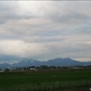 우산천길 Daum카페
