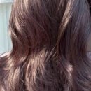 다온DAY(데이) 이미지