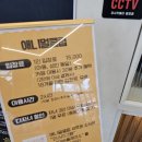 레인보우 앵무 | 평택 애니멀클럽 동물원과 키즈카페가 동시에? 고덕 송탄 아이랑갈만한곳