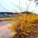 후천교~상산교 이미지