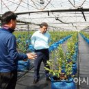 미산3구 이미지