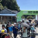 평창메밀 이미지