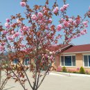 천태보건진료소 이미지