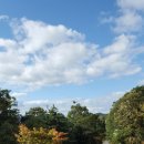 별무리하우스 이미지