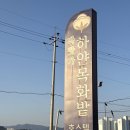 바닷가 하얀목화밭 이미지