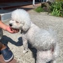 또하르네 이미지