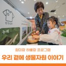 함미하삐 이미지