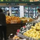 과일왕 이미지