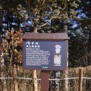 며느리 친정집 화전 이미지