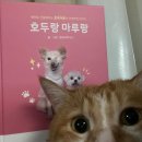 마루부동산 네이버블로그