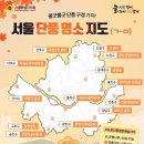 올해 상반기에 비노떼와인 자체 와인시음회를 5회에 걸쳐 잘 마치고 올해에는 시음회를 못할줄 알았는데 이미지