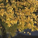 만추 - 여수시 | 만추