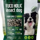 강아지홀릭 이미지