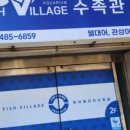 피쉬빌리지수족관