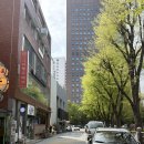 종로미용실 | 그라벨르 헤어 종로점 레이어드펌 후기