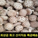 고씨네 농장 이미지