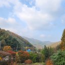 천안 트리하우스 이미지