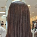 세종NS타워2차 이미지