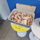 커피사피엔스용인서천점