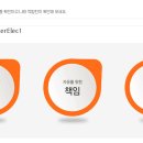 (주)타이거일렉