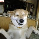 웃으면서 이미지