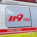 전동휠체어119 이미지