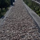 오번리 농장 이미지