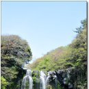 천제연폭포 이미지