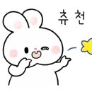 위드미펫살롱 이미지