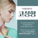 서정룡성형외과 네이버블로그