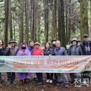 비타민 숲 이미지