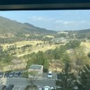 둥지 | 강원도 원주-영월-강릉 3박 4일 여행 1 / 오크밸리리조트 / 까치둥지 / 영월 전기카트 / 아날로거글램핑