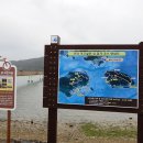 대교로2L 이미지