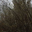 (주)쓰리디바이오캐드아시아 | 식약처, 주간(1월 2주, 1.9.~1.15.) 의료제품 허가 현황 안내