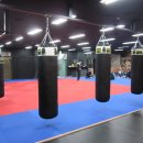 코리안탑팀 이미지