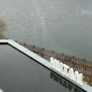 81 | 카메라 무조건 켜야 할 역대급 물멍 뷰! 남양주 핫플 후탄(HUTAN) 솔직후기