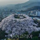 중앙근린공원(3.1공원) 이미지