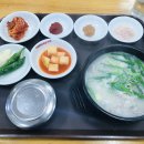 강정고령보 만남의광장 | (라이딩일기) 19/4/27 랜도너스 대구300k 후기