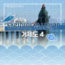 낚시일기] 거제 낚시 포인트 궁농 낚시공원에서 고등어랑 벵에돔까지 / 학꽁치 포인트 / 찌낚시...