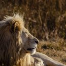 파워명품세탁소 이미지