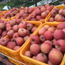 청송외갓집 이미지