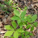 왕골공예가는길 이미지