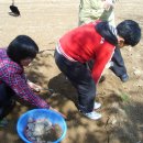 성포초등학교 이미지