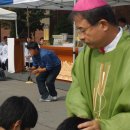 수원가톨릭대학교 이미지